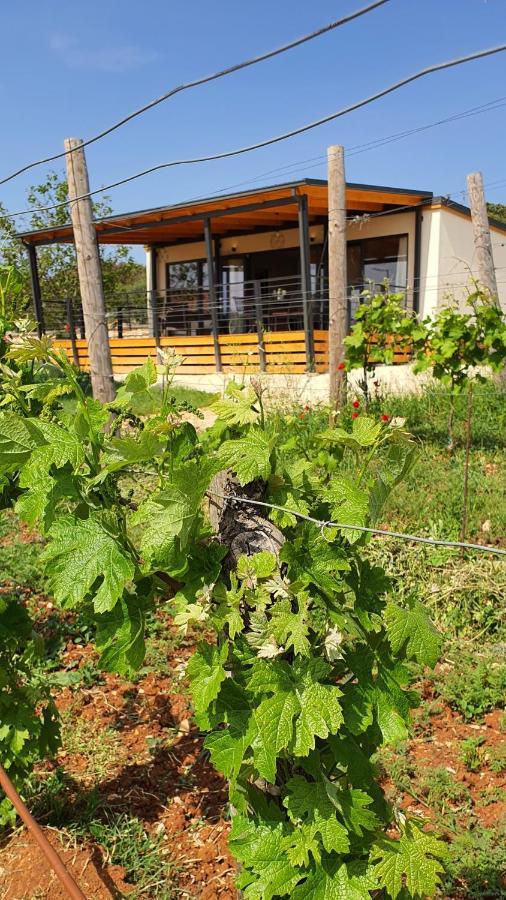 רוביני Collis Winery - Family & Friends - Mobilhome מראה חיצוני תמונה