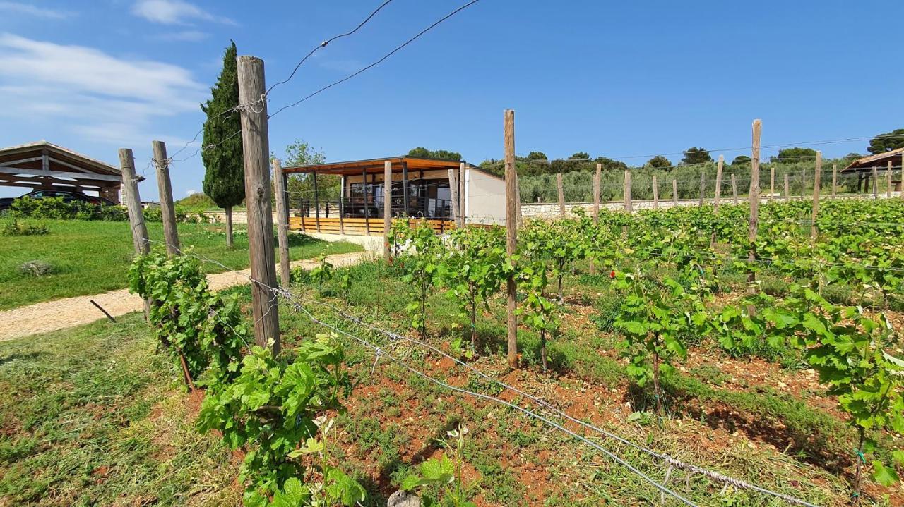 רוביני Collis Winery - Family & Friends - Mobilhome מראה חיצוני תמונה